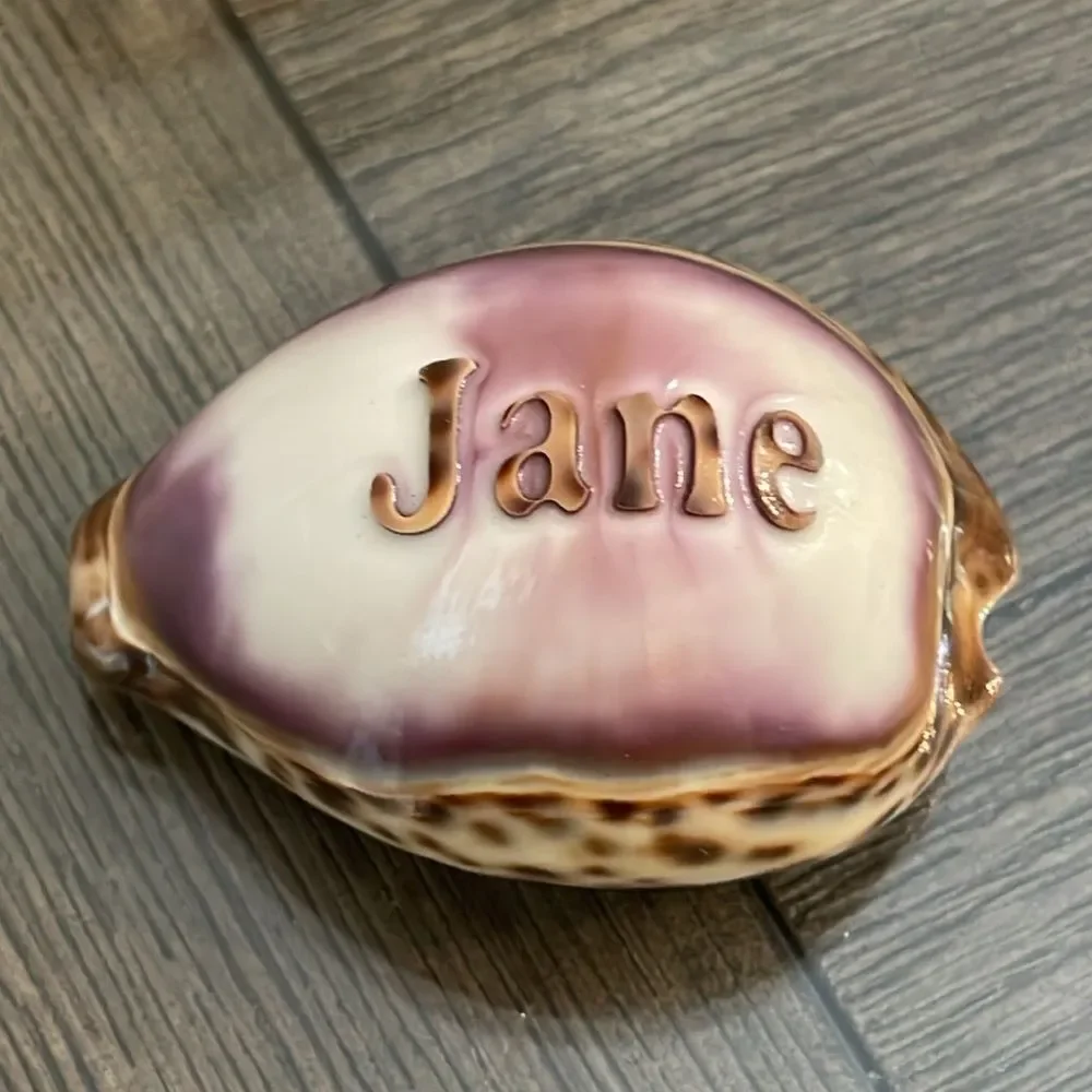 Vintage Engraved Tiger Cowrie Shell With “Jane” & Dolphin Pendant